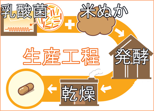 愛腸習慣＿製造工程